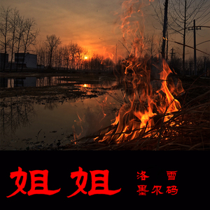 姐姐