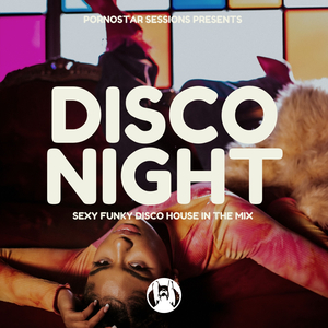 Disco Stepper (Original Mix)