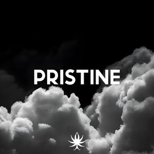 Pristine