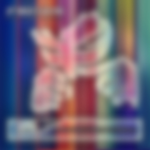 The Madness (Original Mix)