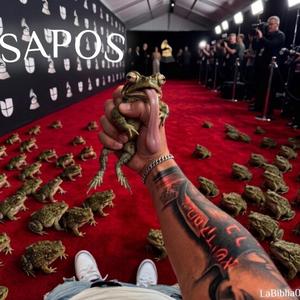 Sapos