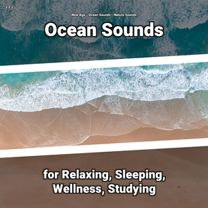 Ocean Sounds to Relax Your Body and Mind