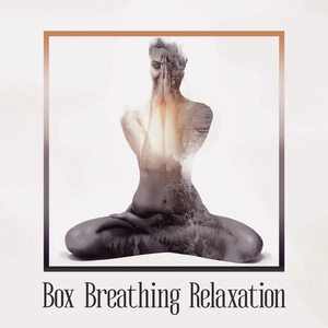 Transcendental Bliss