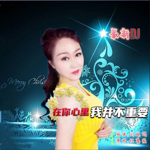 在你心里我并不重要 (DJ版)