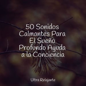 Yogui Pensativo