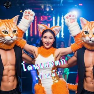 โดนเธอตกเข้าแล้ว (ดูแมวบ้านพี่ไหม)