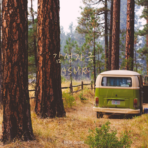 The Quiet Rain at Dawn Over the Tent