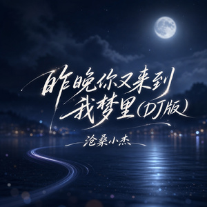 昨晚你又来到我梦里(DJ版)