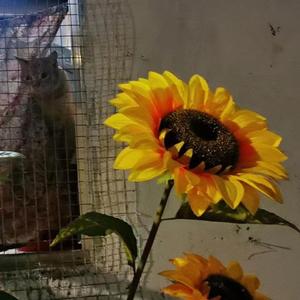 结痂记忆（Prod by Lisure）