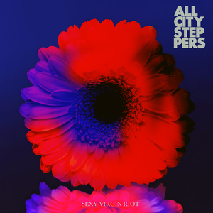 PRECIOUS GIRL(S.V.R. Ver.)