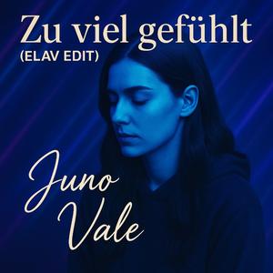 Zu viel gefühlt (ELAV Remix)
