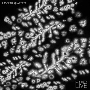 Light / No Light (Live)