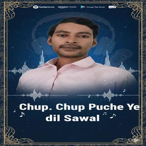 Chup Chup Puche Ye dil Sawal