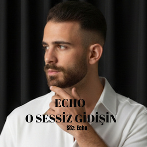 O sessiz gidişin