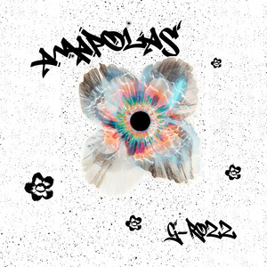 AMAPOLAS