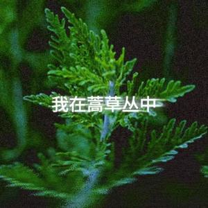 穿梭