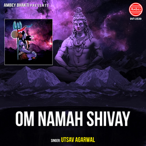 Om Namah Shivay