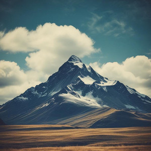 荒野のハゲ卍グルメ