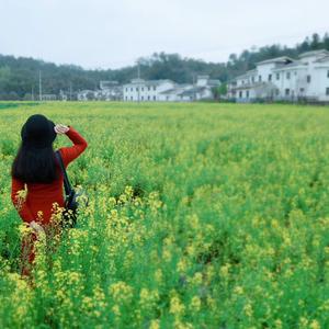 醉红颜（吟唱）.mp3