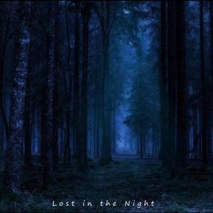 Lost in the Night