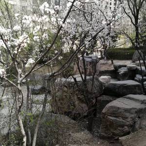 The Spring