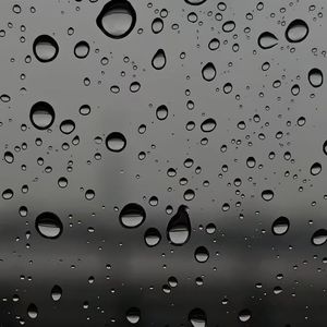 世界雨