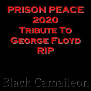 Prison Peace 2020 Tribute to George Floyd