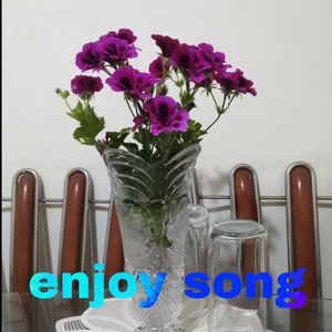 Enjoy Song