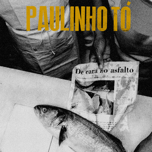 O Articulador