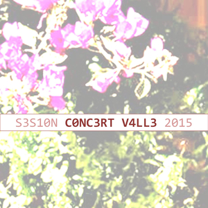 Impávido (Sesiones Concert Valle 2015)