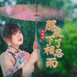 那夜下了相思雨-伴奏