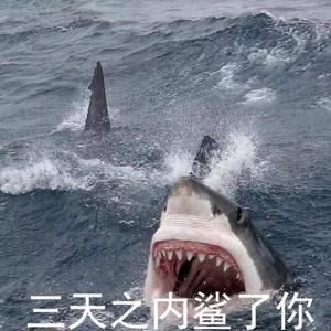 哈 哈 哈！！！