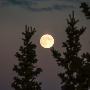 Som da Chuva para dormir e relaxar