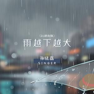 雨越下越大 (DJ版)