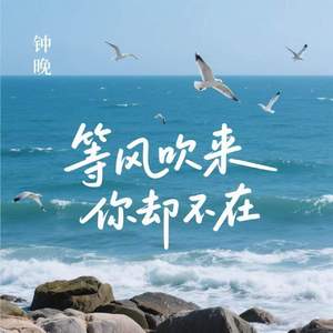 等风吹来你却不在