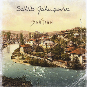 Kisa bi pala, pasti ne moze