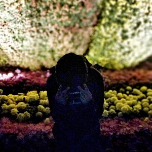 至此流年各天涯