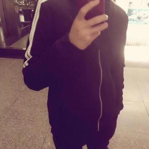 南方（翻自 达达乐队）