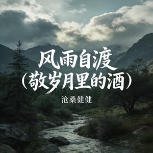 风雨自渡