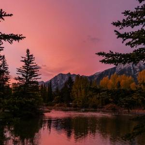 睡前白噪音- 夜晚的虫鸣/人声/车驶过（自然采样）二十