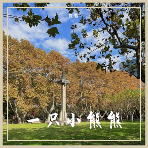 萱草花（cover张小斐）