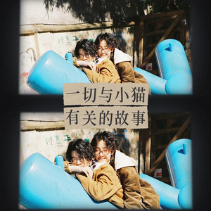 一切和小猫有关的故事