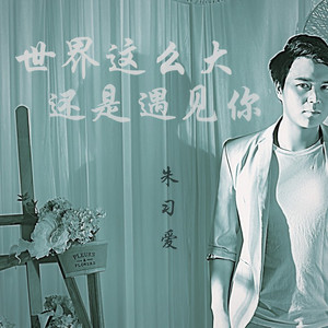 世界这么大还是遇见你