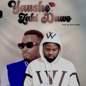 Yaushe Zaki Dawo
