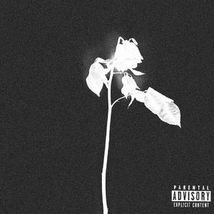 DEAD ROSES (feat. Z4Y)