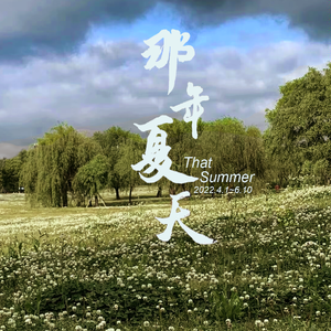 那年夏天