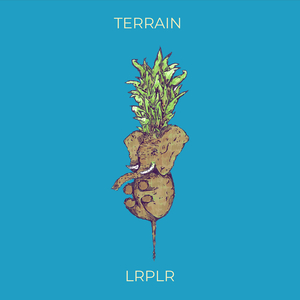 TERRAIN