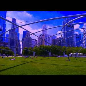 Myocardium (Iron Hibachi Theme Song)