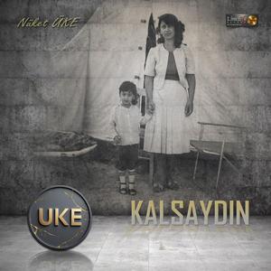 Kalsaydın