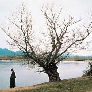 当生命走向尽头 人们走向海边